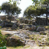 фото из отзыва ID 966827