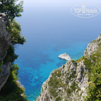 фото из отзыва ID 966827