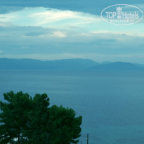 фото из отзыва ID 966827