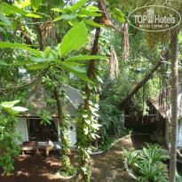 фото из отзыва ID 966844