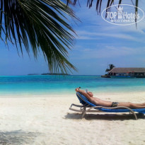 фото из отзыва ID 967111