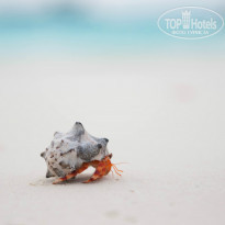 фото из отзыва ID 967111