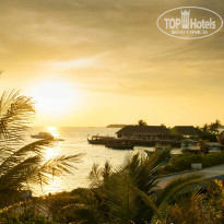 фото из отзыва ID 967111