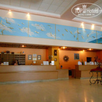 фото из отзыва ID 967239