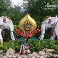 фото из отзыва ID 967265