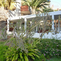 фото из отзыва ID 967612