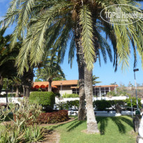 фото из отзыва ID 967612