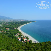 фото из отзыва ID 967623