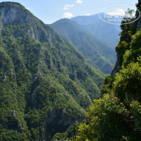 фото из отзыва ID 967623