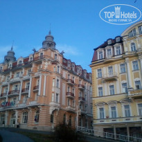 фото из отзыва ID 967646