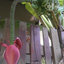 фото из отзыва ID 967647