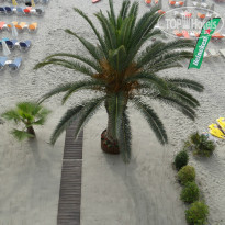 фото из отзыва ID 967623