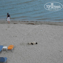 фото из отзыва ID 967623