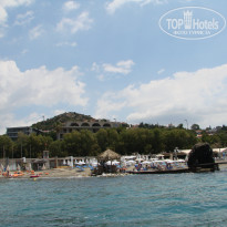 фото из отзыва ID 967952