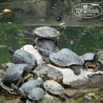 фото из отзыва ID 967952