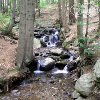 фото из отзыва ID 96801