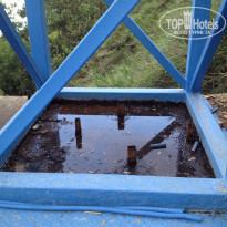 фото из отзыва ID 968267