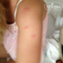 фото из отзыва ID 968267