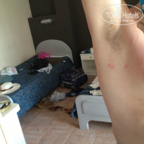 фото из отзыва ID 968267