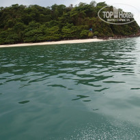 фото из отзыва ID 968304