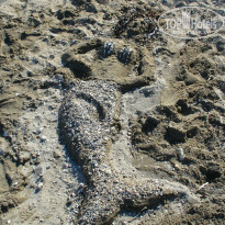 фото из отзыва ID 968338