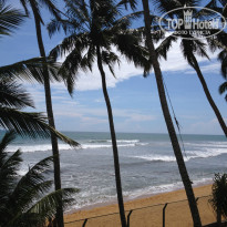 фото из отзыва ID 968404