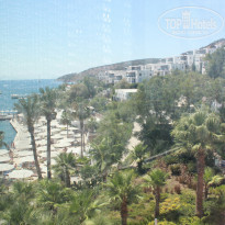 фото из отзыва ID 968534