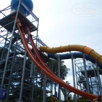 фото из отзыва ID 968573