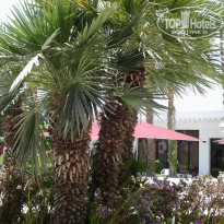 фото из отзыва ID 968907