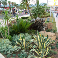 фото из отзыва ID 968487