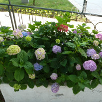 фото из отзыва ID 969046