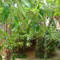 фото из отзыва ID 969315