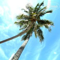 фото из отзыва ID 969315