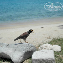 фото из отзыва ID 969315