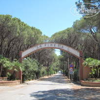 фото из отзыва ID 969467