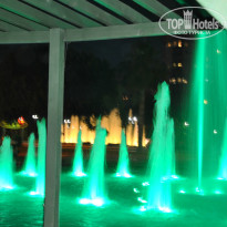 фото из отзыва ID 969528