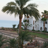 фото из отзыва ID 969959