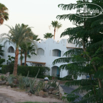 фото из отзыва ID 969959