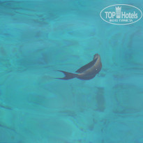 фото из отзыва ID 969959