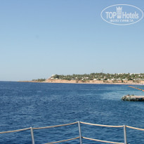 фото из отзыва ID 969959