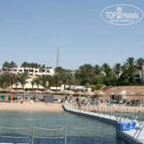 фото из отзыва ID 969959