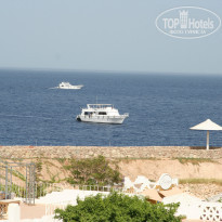 фото из отзыва ID 969959