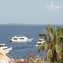 фото из отзыва ID 969959