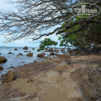 фото из отзыва ID 969988