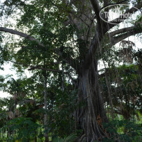 фото из отзыва ID 969988