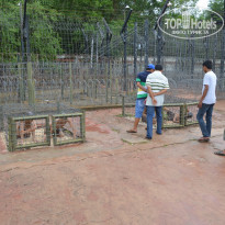 фото из отзыва ID 969988