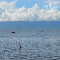 фото из отзыва ID 969988