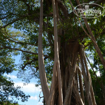 фото из отзыва ID 969988