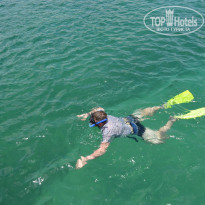 фото из отзыва ID 969988