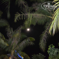 фото из отзыва ID 969988